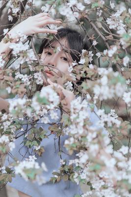 古装剧大全古装电视剧免费观看