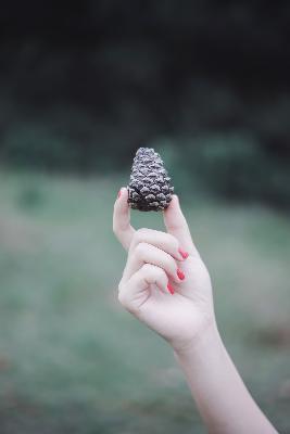 父母爱情电视剧免费观看完整版