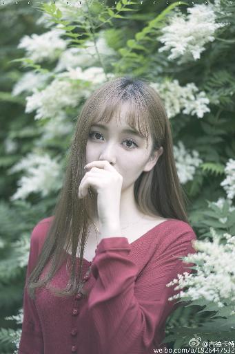 再见怦然心动电视剧免费观看