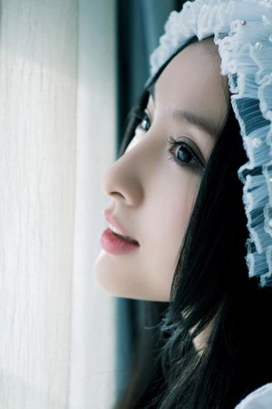 城中之城电视剧免费观看全集