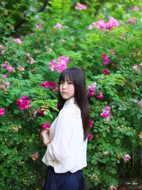 喜羊羊与灰太狼